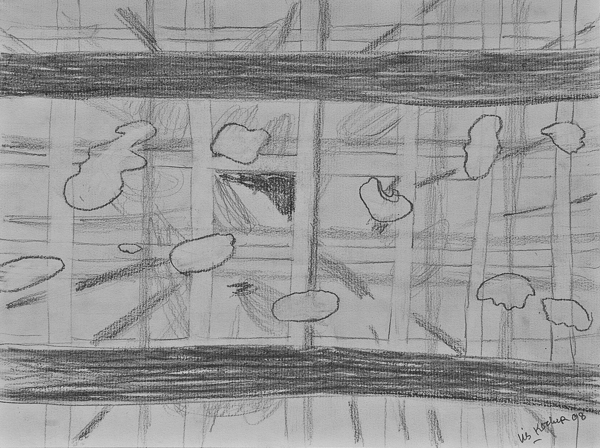 0116, Untitled, 2008